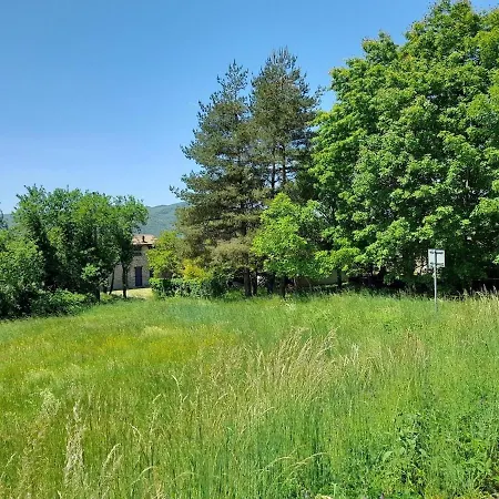 Maria's * バルディ