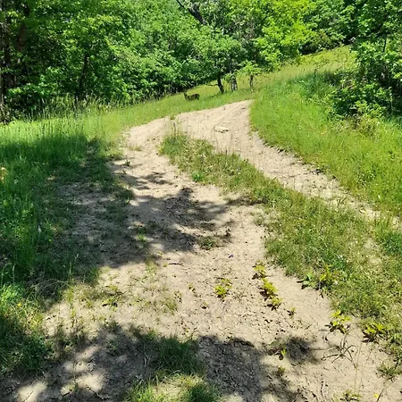 Maria's Apartment Bardi