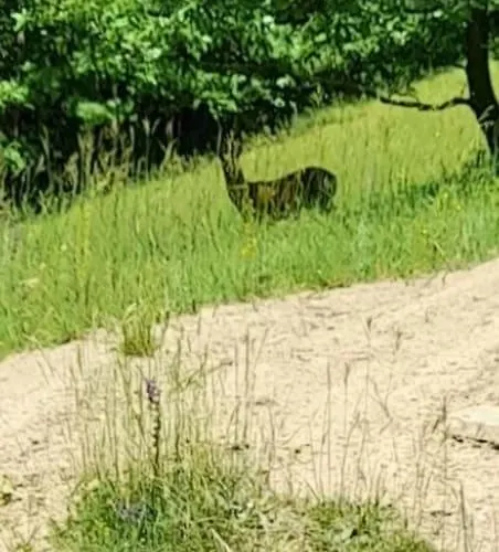 Διαμέρισμα Maria's *