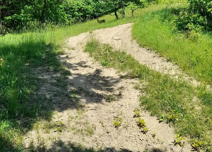 Maria's Appartement Bardi